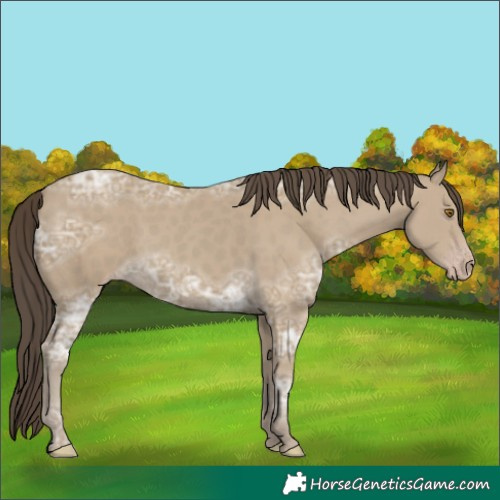 Horse Color:Classic Cream Champagne Ice 