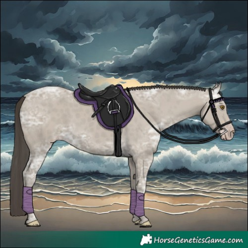 Horse Color:Classic Cream Champagne Ice 