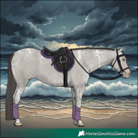 Horse Color:Classic Cream Champagne Ice