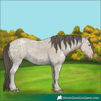 Horse Color:Classic Cream Champagne Ice 