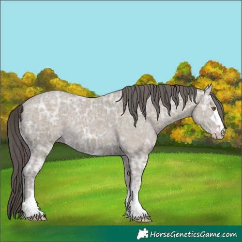 Horse Color:Classic Cream Champagne Ice Rabicano 