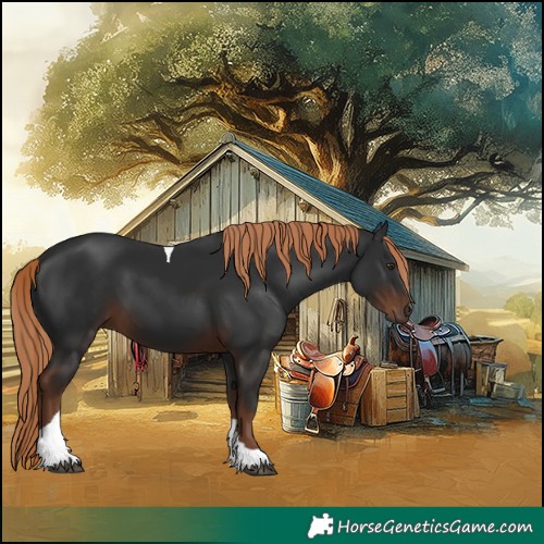 Horse Color:Liver Chestnut Tobiano Rabicano 