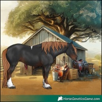 Horse Color:Liver Chestnut Tobiano Rabicano