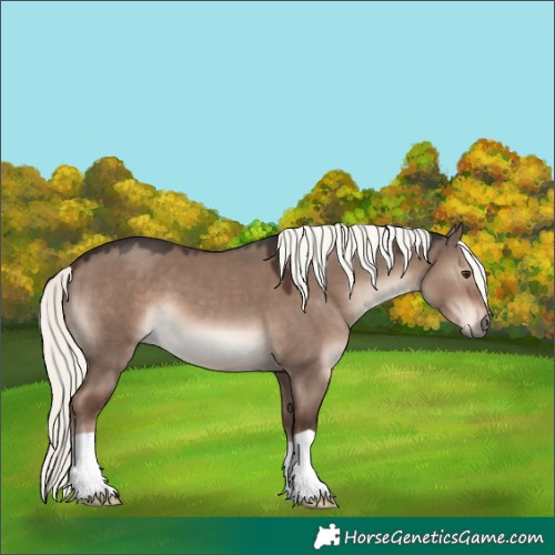 Horse Color:Liver Red Dun Mushroom 