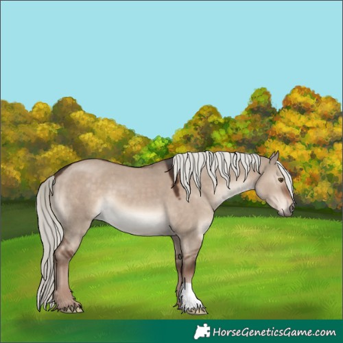 Horse Color:Liver Red Dun Mushroom 