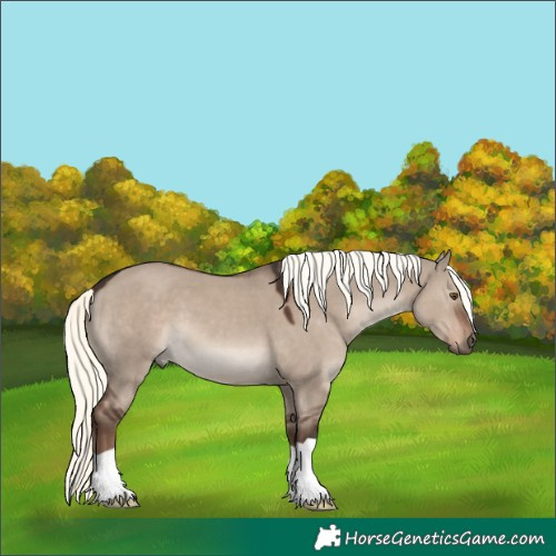 Horse Color:Liver Red Dun Mushroom 