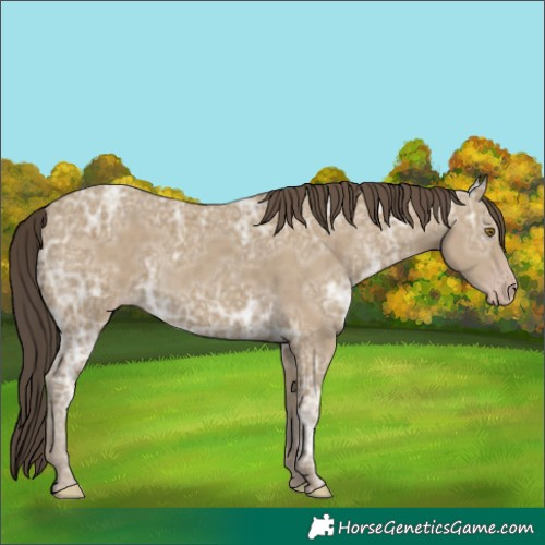 Horse Color:Classic Cream Champagne Ice 