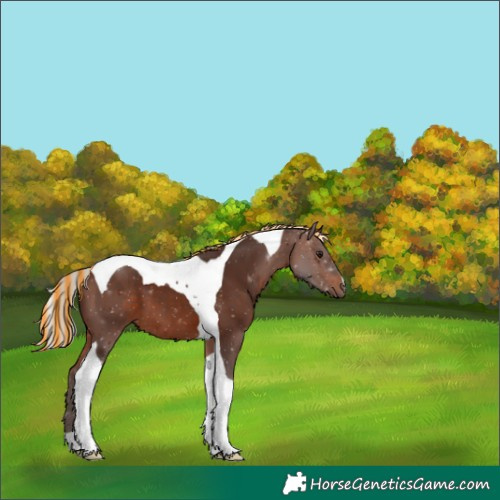 Horse Color:Painted Silver Brown Tobiano 