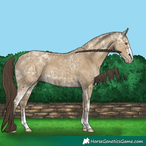 Horse Color:Classic Cream Champagne Ice 