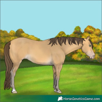 Horse Color:Amber Cream Champagne 