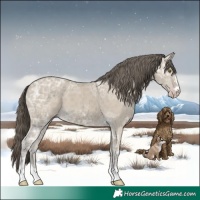 Horse Color:Classic Cream Champagne Ice 