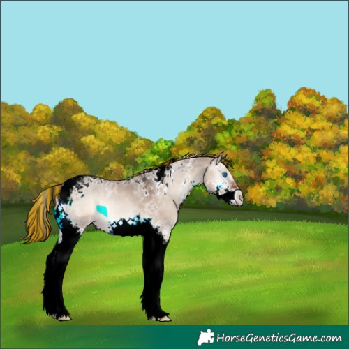 Horse Color:Painted Brown Onyx Splash Tobiano 
