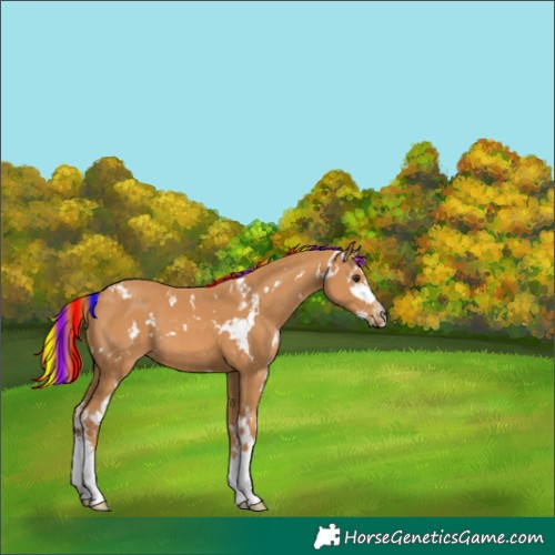 Horse Color:Painted White Spotted Chestnut Splash 