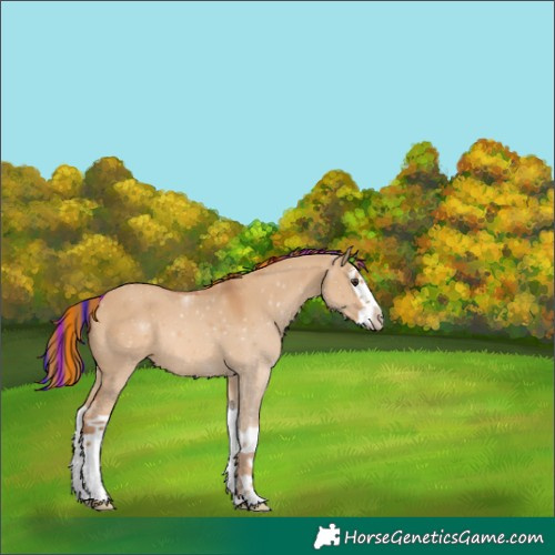 Horse Color:Painted Red Dun Splash 