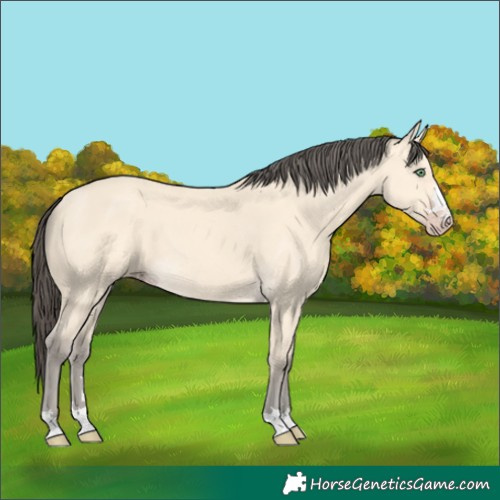 Horse Color:Amber Cream Champagne 