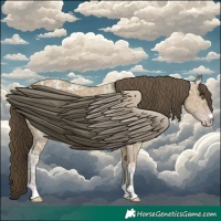 Horse Color:Classic Cream Champagne Ice 