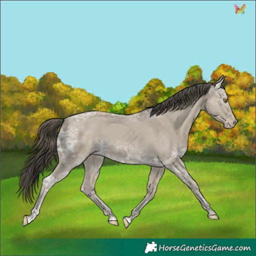 Horse Color:Classic Cream Champagne Ice 