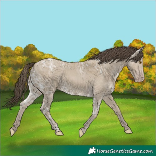 Horse Color:Classic Cream Champagne Ice 
