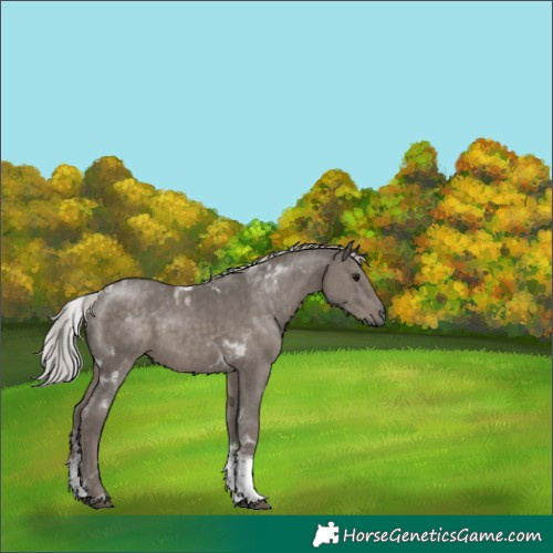 Horse Color:Silver Black Mushroom Tobiano 