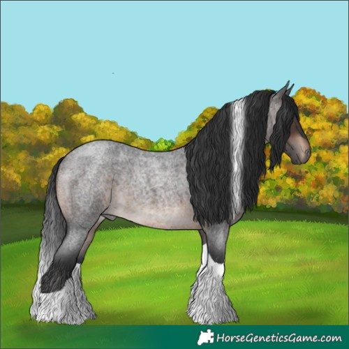 Horse Color:Brown Roan Mushroom Tobiano 