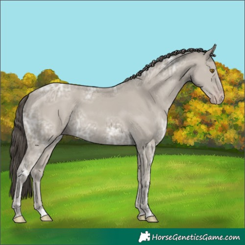 Horse Color:Classic Cream Champagne Ice 