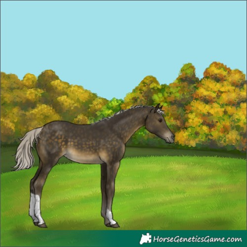 Horse Color:Silver Buckskin Tobiano 