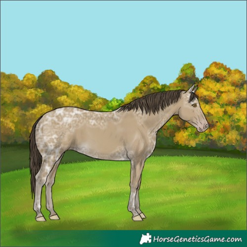 Horse Color:Classic Cream Champagne Ice