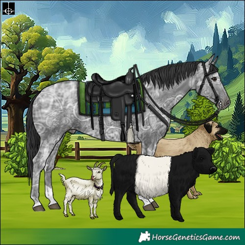 Horse Color:Black Ice Tobiano 