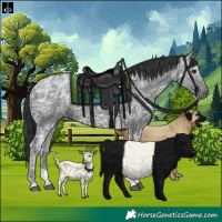 Horse Color:Black Ice Tobiano