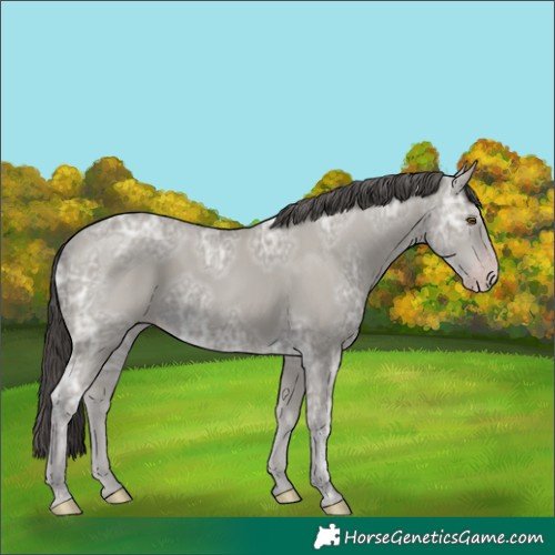 Horse Color:Classic Cream Champagne Ice 