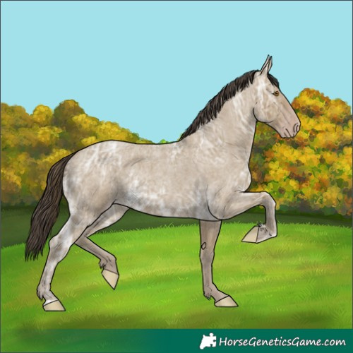 Horse Color:Classic Cream Champagne Ice Roan 