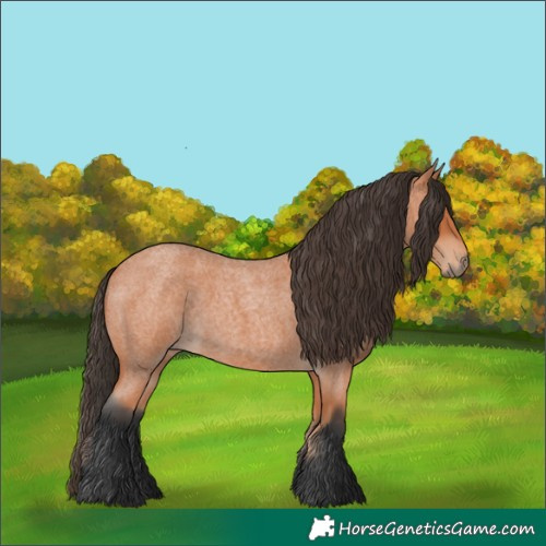 Horse Color:Bay Roan 