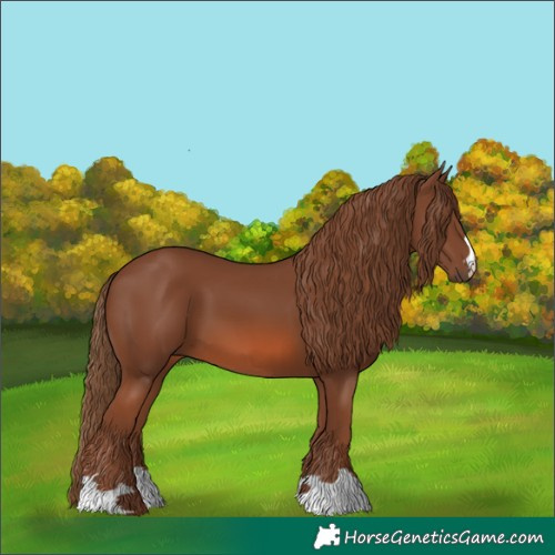 Horse Color:Chestnut 