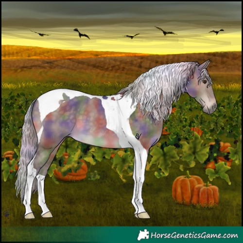 Horse Color:Nacre Silver Brown Dun Tobiano 