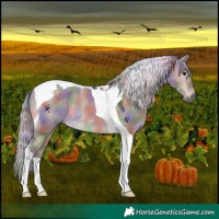 Horse Color:Nacre Silver Brown Dun Tobiano 