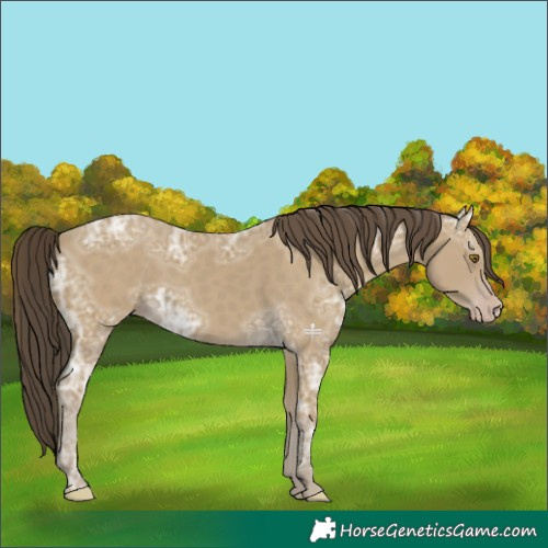 Horse Color:Classic Cream Champagne Ice 