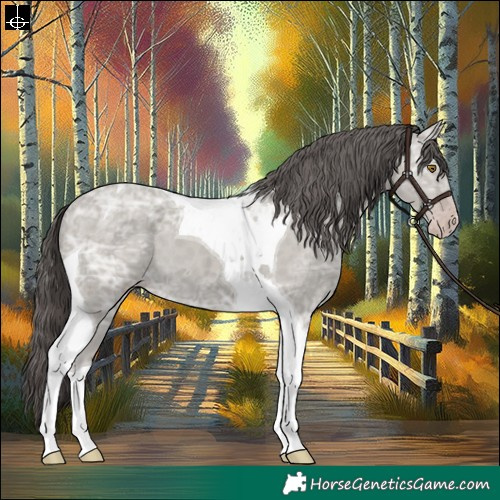 Horse Color:Classic Cream Champagne Ice Tobiano 