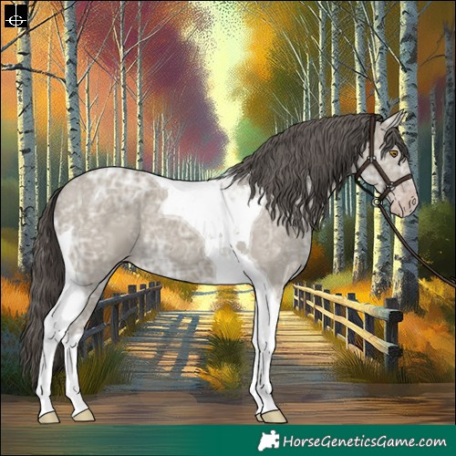 Horse Color:Classic Cream Champagne Ice Tobiano 