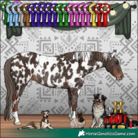 Horse Color:White Spotted Liver Chestnut Appaloosa Rabicano 