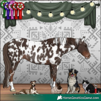 Horse Color:White Spotted Liver Chestnut Appaloosa Rabicano 