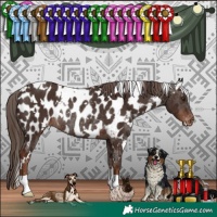 Horse Color:White Spotted Liver Chestnut Appaloosa Rabicano