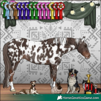 Horse Color:White Spotted Liver Chestnut Appaloosa Rabicano 