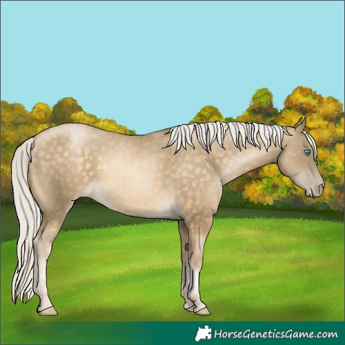Horse Color:Silver Buckskin Pearl 