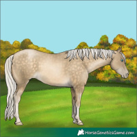 Horse Color:Silver Buckskin Pearl 