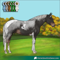 Horse Color:Liver Chestnut Mushroom Tobiano 