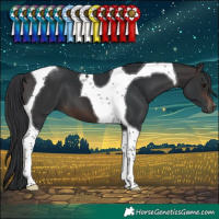 Horse Color:Brown Tobiano