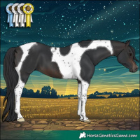 Horse Color:Brown Tobiano