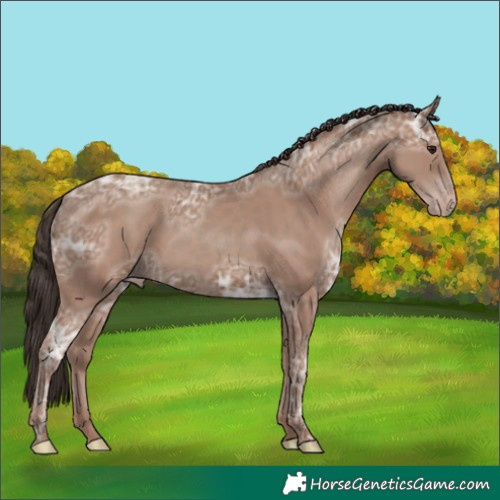 Horse Color:Classic Champagne Ice 