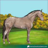 Horse Color:Classic Champagne Ice