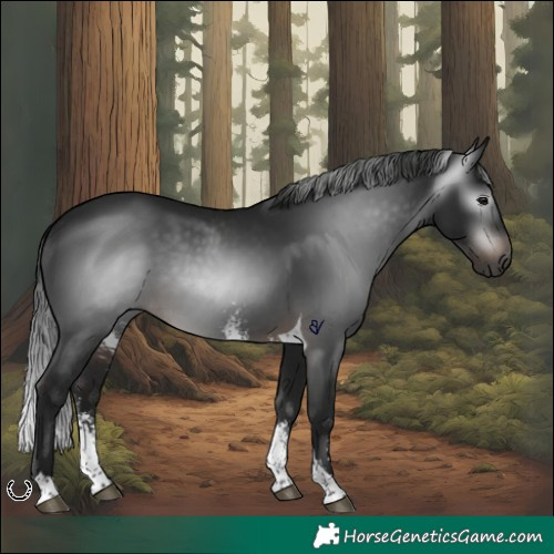 Horse Color:Gray Brown Sabino Tobiano Rabicano 